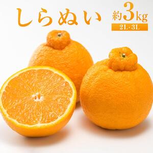 しらぬい 約3kg（2L・3L）【 2026年2月下旬から発送】【みかん 柑橘 しらぬい 不知火 広島県 尾道市】