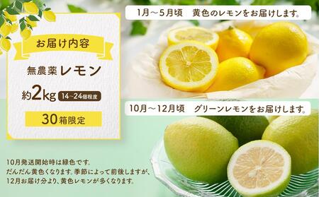皮まで美味しい無農薬レモン 約2kg