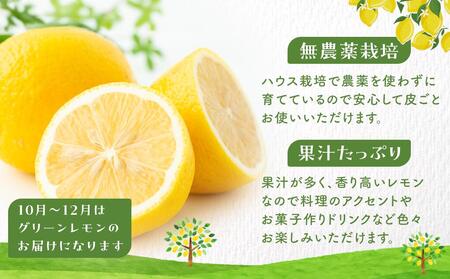 皮まで美味しい無農薬レモン 約2kg