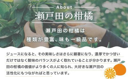 瀬戸内の柑橘100%ストレートジュース旬の大瓶(720ml)2本セット