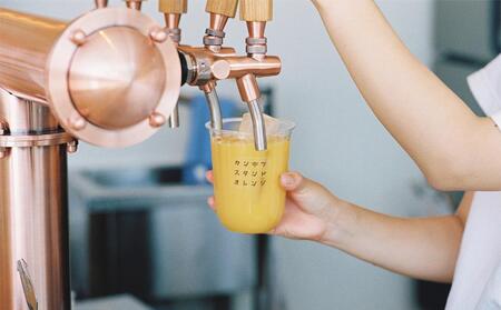 瀬戸内の柑橘100%ストレートジュース旬の大瓶(720ml)2本セット