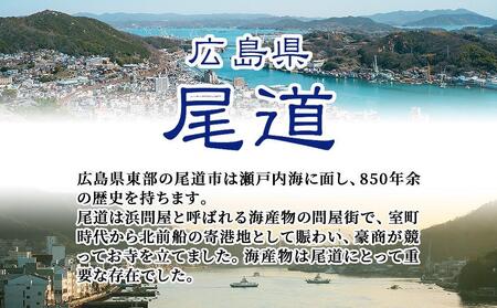 一夜干風あたりめ 250gx4袋 イカ 業務用 おつまみ 珍味 タウリン おやつ