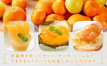 季節の柑橘セット約5kg ＜2026年1月下旬から発送＞