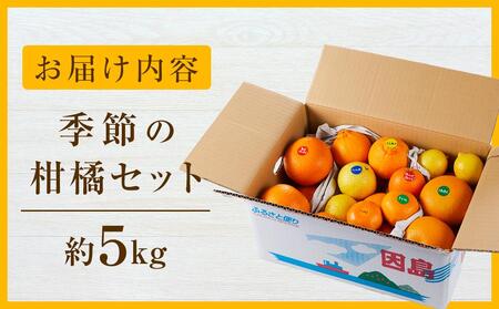 季節の柑橘セット約5kg ＜2026年1月下旬から発送＞