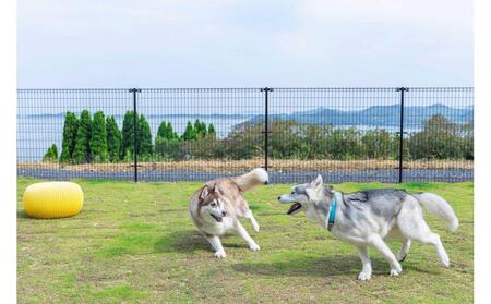 愛犬と泊まる絶景グランピング「LEMON FARM GLAMPING しまなみ」宿泊補助券 15,000円分