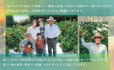 柑橘の大トロ!完熟ハウスせとか 2kg 2026年2月中旬~発送予定