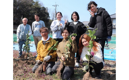 尾道柑橘バラエティーセット 10kg