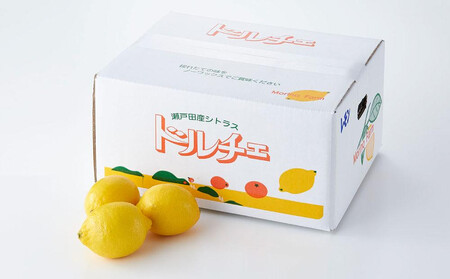 【レモン島から贈る】安心の国産レモン4kg 2026年1月15日より順次発送