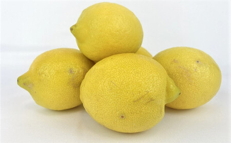 【レモン島から贈る】安心の国産レモン6kg 2026年1月15日より順次発送