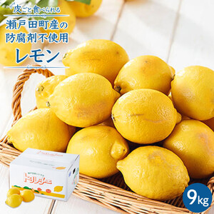 【レモン島から贈る】安心の国産レモン9kg 2026年1月15日より順次発送