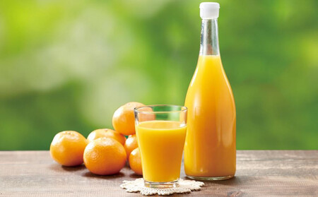 もりの農園のドルチェみかんで作った”自慢の”みかんジュース 6本【無添加 100％ ストレート】2025年12月中旬〜発送予定