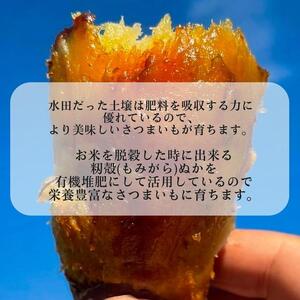 生芋(紅はるか) 5kg(サイズS~L混合)