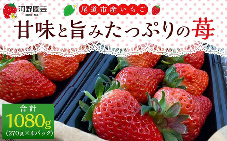 ★まるごと尾道定期便 C★【1月~12月まで毎月発送】