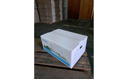 【訳あり】レモン 家庭用 5kg