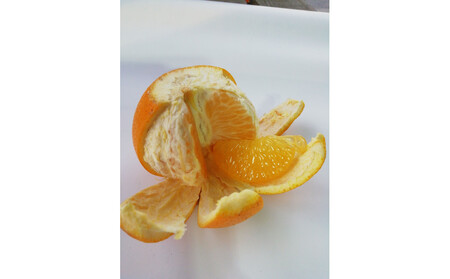 【訳あり】紅八朔 家庭用 5kg Mサイズ