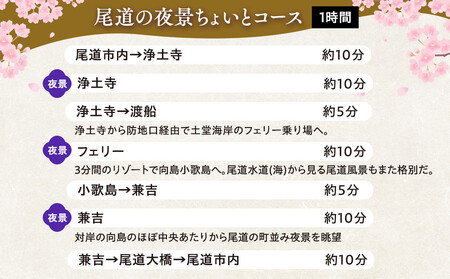 尾道の夜景ちょいとコース1時間