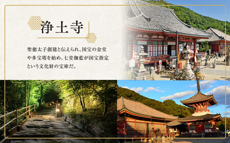 尾道の夜景たっぷりコース2時間