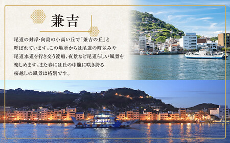 尾道の夜景たっぷりコース2時間