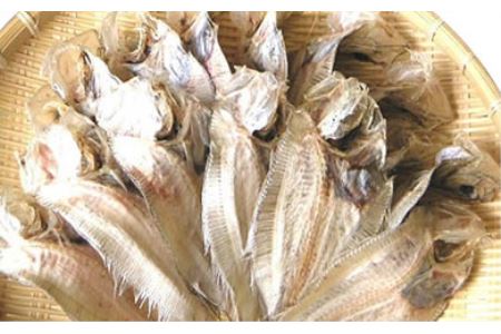 大15尾 尾道名物 でべら 広島県尾道市 ふるさと納税サイト ふるなび