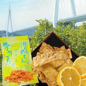 【12袋】瀬戸内レモン味いか天