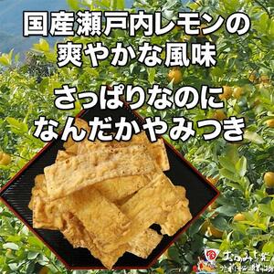 【12袋】瀬戸内レモン味いか天