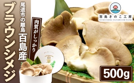 尾道市の離島 百島産「ブラウンシメジ」