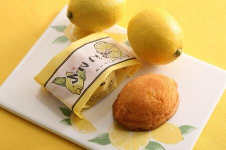 島ごころレモンケーキ＆ネーブルケーキ（各１０個）