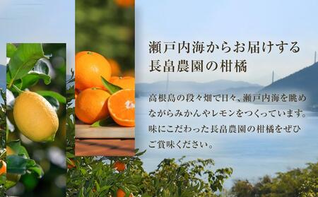 瀬戸田レモン3kg 11月上旬より発送 【瀬戸内レモン 檸檬 国産レモン 柑橘 産地直送 レモン レモン レモン】