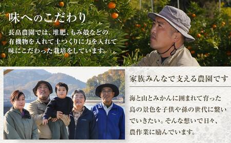 瀬戸田レモン3kg 11月上旬より発送 【瀬戸内レモン 檸檬 国産レモン 柑橘 産地直送 レモン レモン レモン】