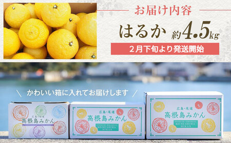 爽やかな甘さのはるか　4.5ｋｇ　＜2026年2月下旬より発送開始＞【みかん 柑橘 広島県 尾道市】
