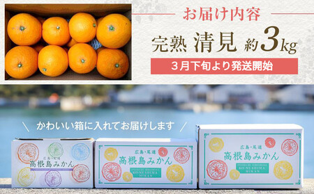 めっちゃジューシー 完熟清見3kg <2026年3月下旬より発送開始>