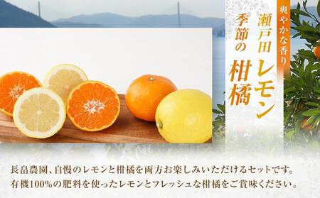 瀬戸田レモン3kgと季節の柑橘2kg<2025年11月下旬より発送開始>