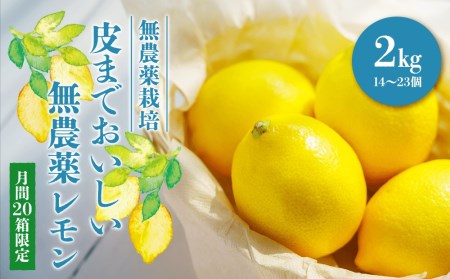 月間50箱限定 皮まで美味しい無農薬レモン2 広島県尾道市 ふるさと納税サイト ふるなび