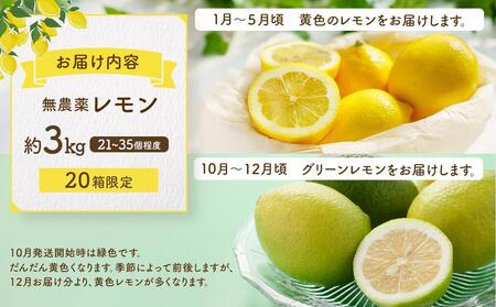 皮まで美味しい無農薬レモン 約3kg