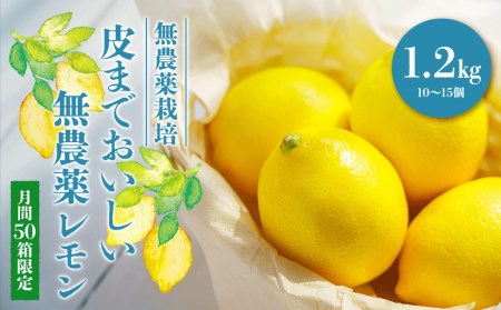 月間50箱限定 皮まで美味しい無農薬レモン1 2kg 広島県尾道市 ふるさと納税サイト ふるなび 月間50箱限定 皮まで美味しい無農薬レモン1 2kg 広島県尾道市 ふるさと納税サイト ふるなび