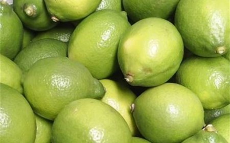 月間50箱限定 皮まで美味しい無農薬レモン1 2kg 広島県尾道市 ふるさと納税サイト ふるなび 月間50箱限定 皮まで美味しい無農薬レモン1 2kg 広島県尾道市 ふるさと納税サイト ふるなび