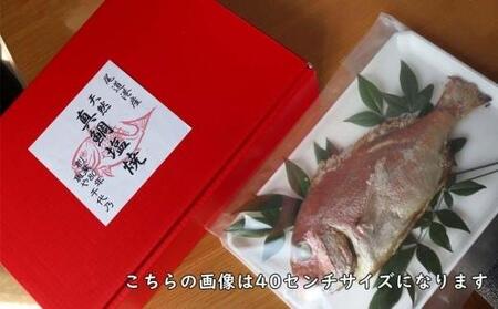 天然真鯛の塩焼き　３尾　～お祝い・お食い初め等におすすめ～
