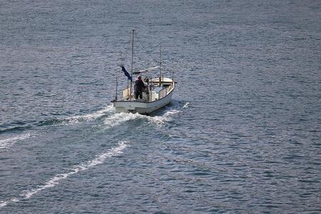穴子の白焼き 10本入約600g ~お祝い品におすすめ~