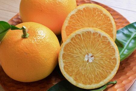 しまなみはっさく  家庭用八朔 5kg（尾道市因島・生口島産）【2026年2月上旬から発送】