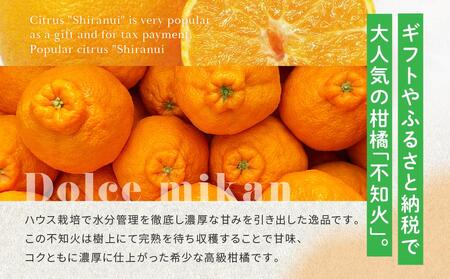 贈答用 越冬完熟ハウスしらぬひ 化粧箱8玉｜みかん 柑橘 しらぬい 不知火 しらぬい 尾道市