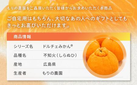 贈答用 越冬完熟ハウスしらぬひ 化粧箱8玉｜みかん 柑橘 しらぬい 不知火 しらぬい 尾道市