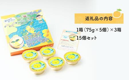 因島のはっさくシャーベット(未凍結）（75g×5個）3箱 15個セット