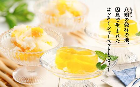 因島のはっさくシャーベット(未凍結）とゼリーの詰め合わせB （シャーベット12個、ゼリー5個）