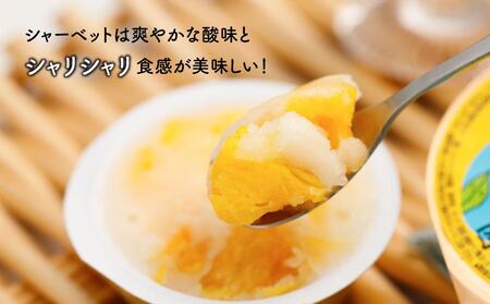 因島のはっさくシャーベット(未凍結）とゼリーの詰め合わせB （シャーベット12個、ゼリー5個）