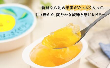 因島のはっさくシャーベット(未凍結）とゼリーの詰め合わせB （シャーベット12個、ゼリー5個）