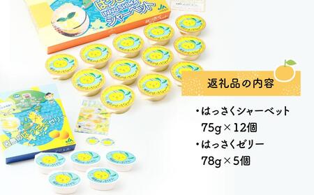 因島のはっさくシャーベット(未凍結）とゼリーの詰め合わせB （シャーベット12個、ゼリー5個）