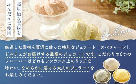 ★こだわりの素材がつむぎ出すプレミアムな味わい！スぺチャーレギフト12個入【スピード配送】（6種類）