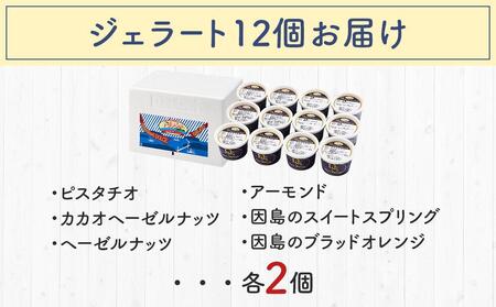 ★こだわりの素材がつむぎ出すプレミアムな味わい！スぺチャーレギフト12個入【スピード配送】（6種類）