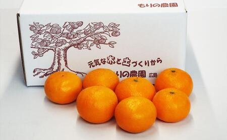 厳選！はれひめ「みかんの甘み」と「オレンジの香り」の新品種！（約4kg）フルーツ お取り寄せ 産地直送