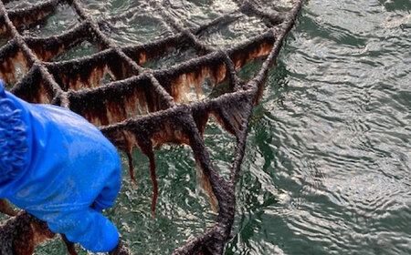 のり詰合せ[BAAQ005]味付海苔 焼海苔